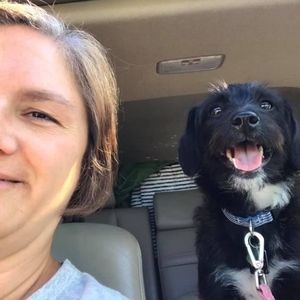 Meet your Posher, Dina